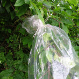DSCN9604